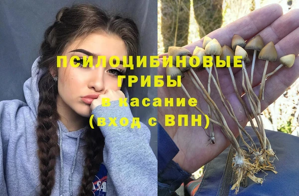 героин Алексин