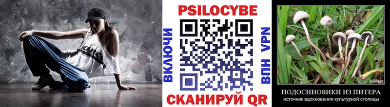 Галлюциногенные грибы Psilocybe  ОМГ ОМГ онион  Добрянка 