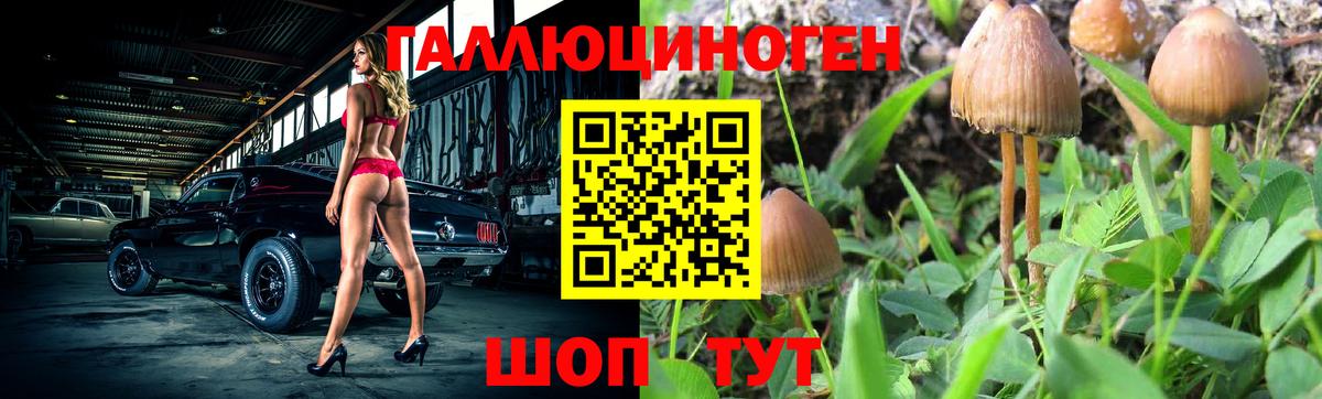 Псилоцибиновые грибы мухоморы Добрянка